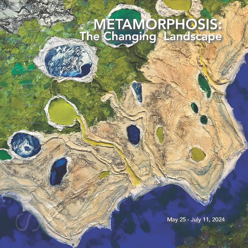Metamorphosis: The Changing Landscape Catalog